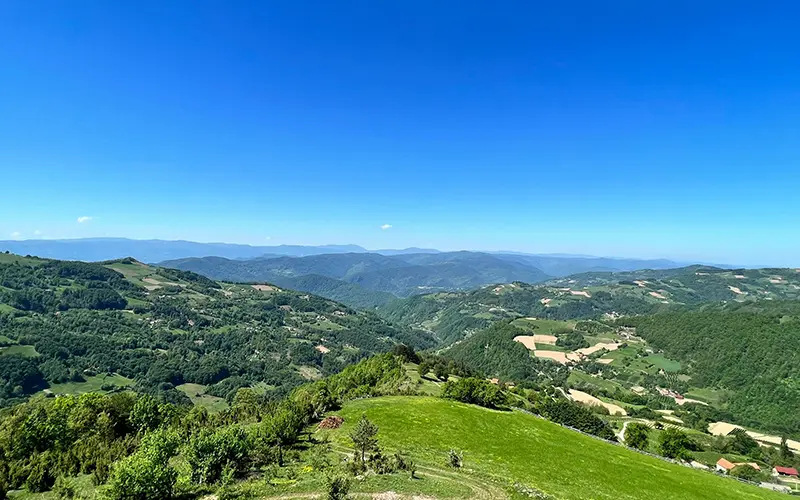 Donacije